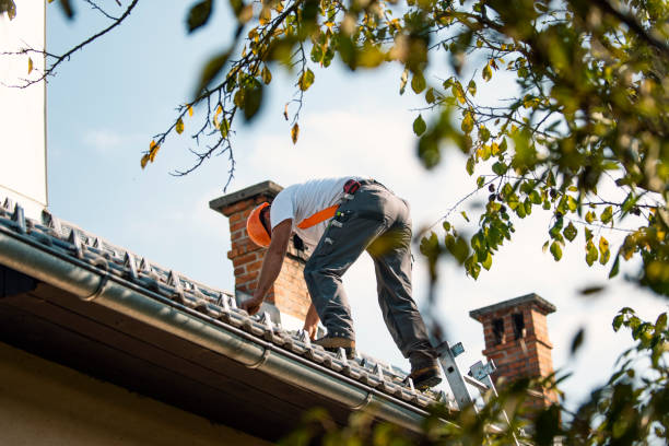 Best Roof Replacement Cost  in Winfield, IA