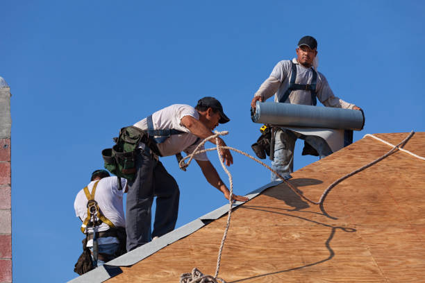 Best Flat Roof Repair Services  in Winfield, IA